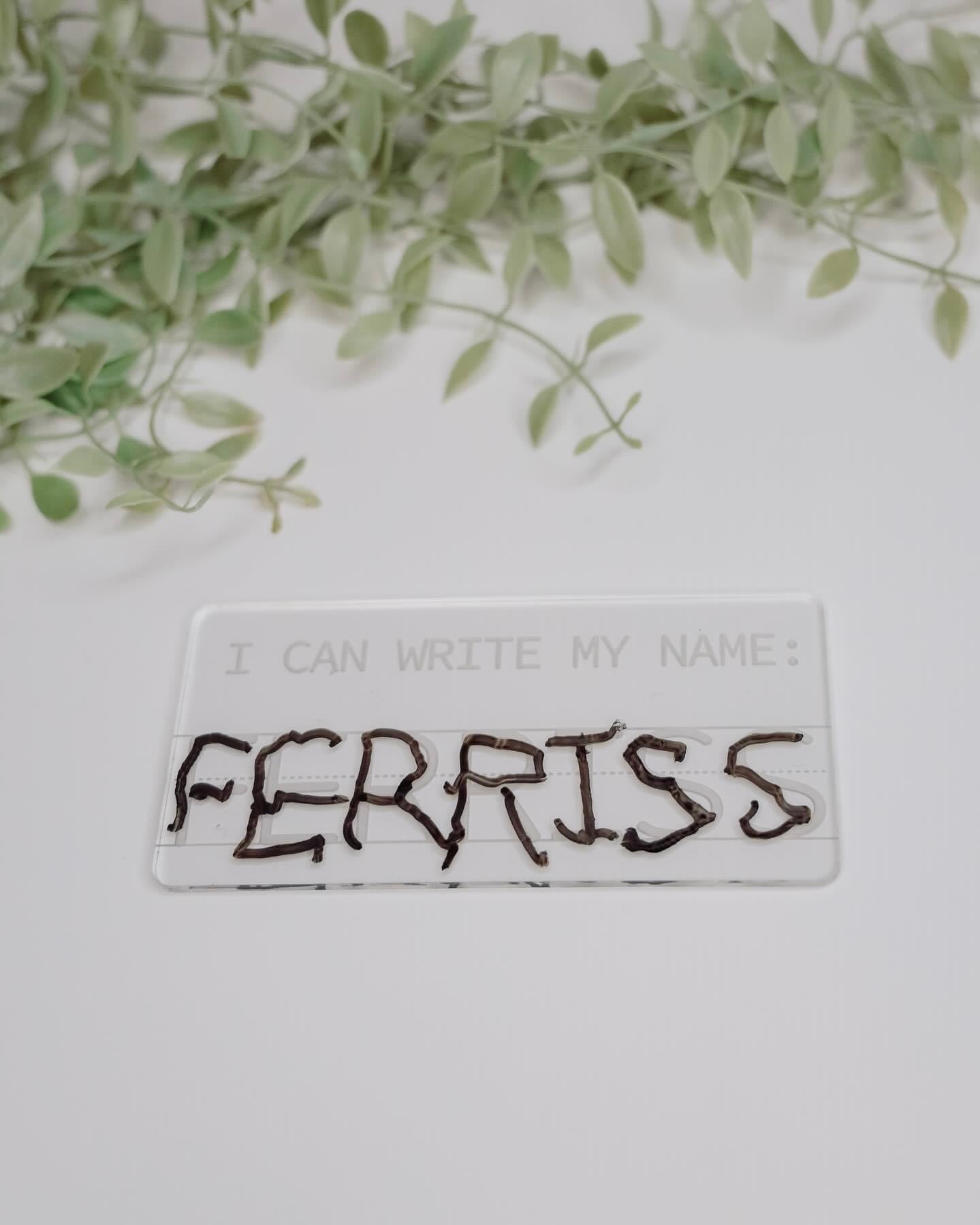 Dry Erase Traceable Name Plate